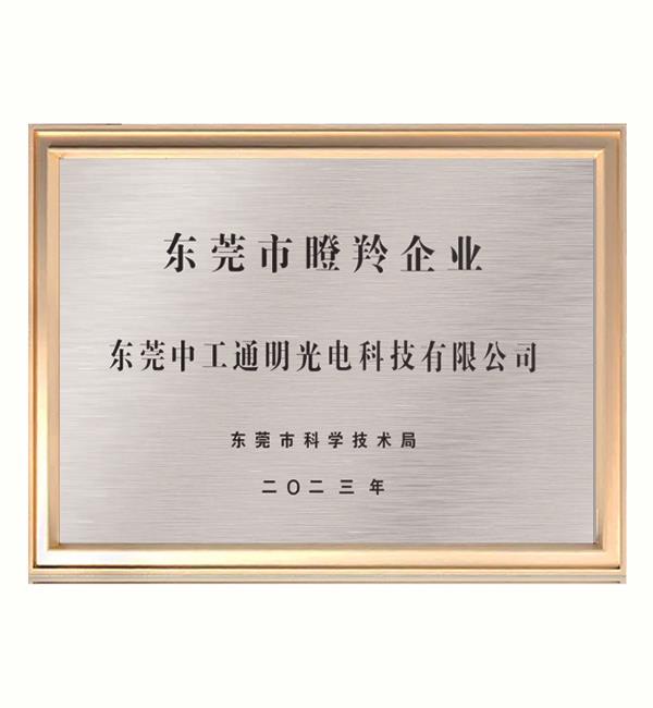榮譽(yù)證書